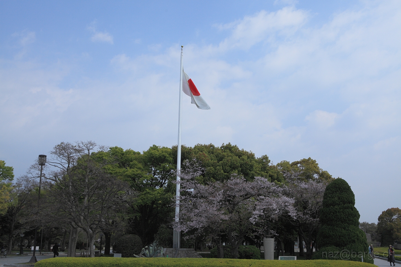 EOS 5D Mark II09_04_20134041.JPG